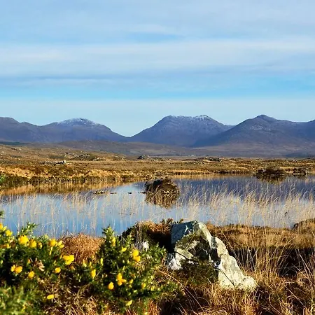 236 Casa vacanze Roundstone