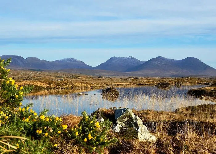 236 Vakantiehuis Roundstone